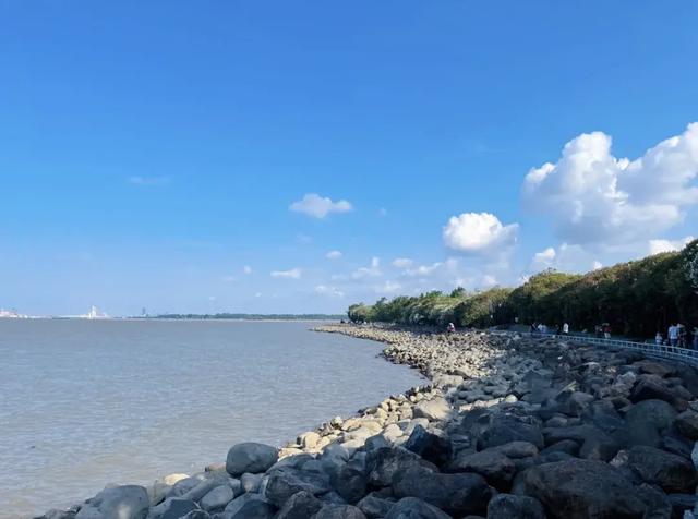 体荟四季|抓住暑假尾巴,从室内运动开始!上海一日亲子游玩线路全攻略