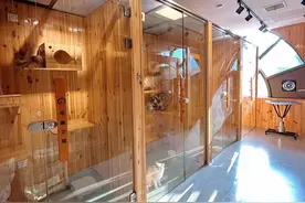 春节宠物寄养预订火爆，有猫舍VIP包间已提前一周约满图片