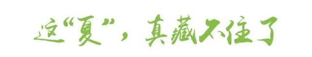 乐游绵阳 清凉一夏 ‖ 这“夏”，真藏不住了——八月盐亭的烟火与清凉