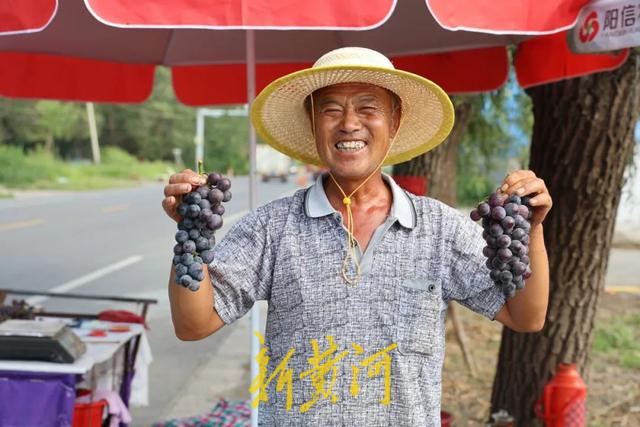 这么近，那么甜！欢迎来阳信县商店镇