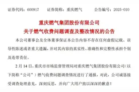 罚810万！“诚恳接受、深刻反思、深深歉意”，重庆燃气道歉！图片