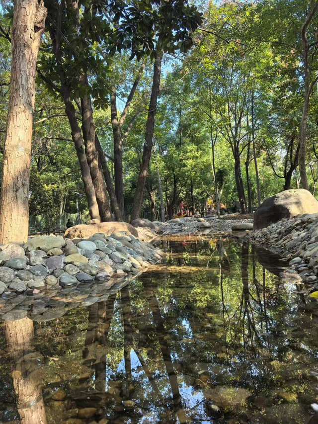 硚口藏了个“森林游乐场”？一站玩到嗨！