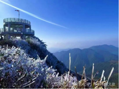 又火了！丰顺铜鼓峰“四大”景观，到底有多美？