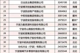 2025宁波百强企业出炉！吉利汽车登顶，服务业成最大“黑马”图片