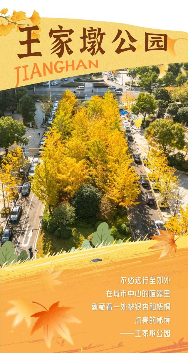 在江汉，听见公园里的秋色私语