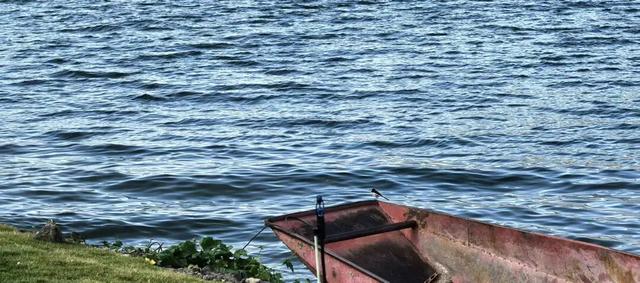 【冬季暖阳 凉山不凉】会东金江渔村 阳光康养与垂钓逸趣之旅邀您启程