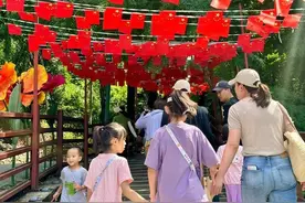 纵情自然 西双版纳原始森林公园游人如织图片