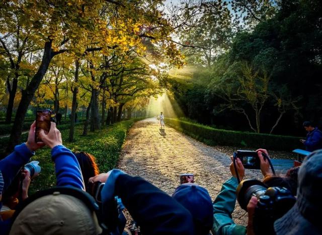 清晨5点，南京这里开始上人了