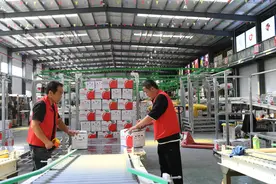 （高质量发展调研行）陕西延安：“小苹果”做成“大产业”图片