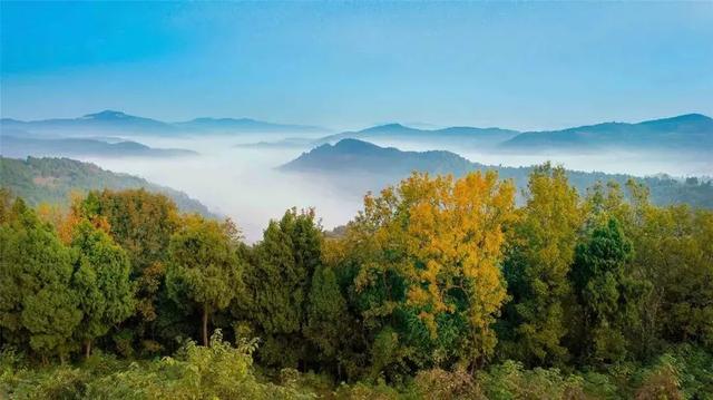 把周末还给山野｜带娃爬山撒欢，沿途风景绝美