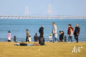 图集｜春节假期，深中通道日出观赏点人气十足图片