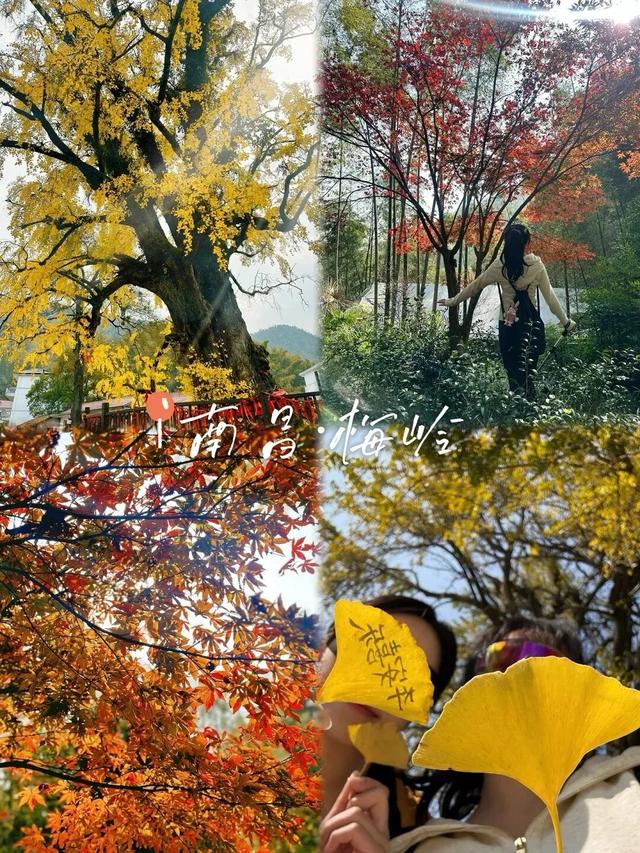 向云端，17分钟，这条云端索道全攻略来啦！