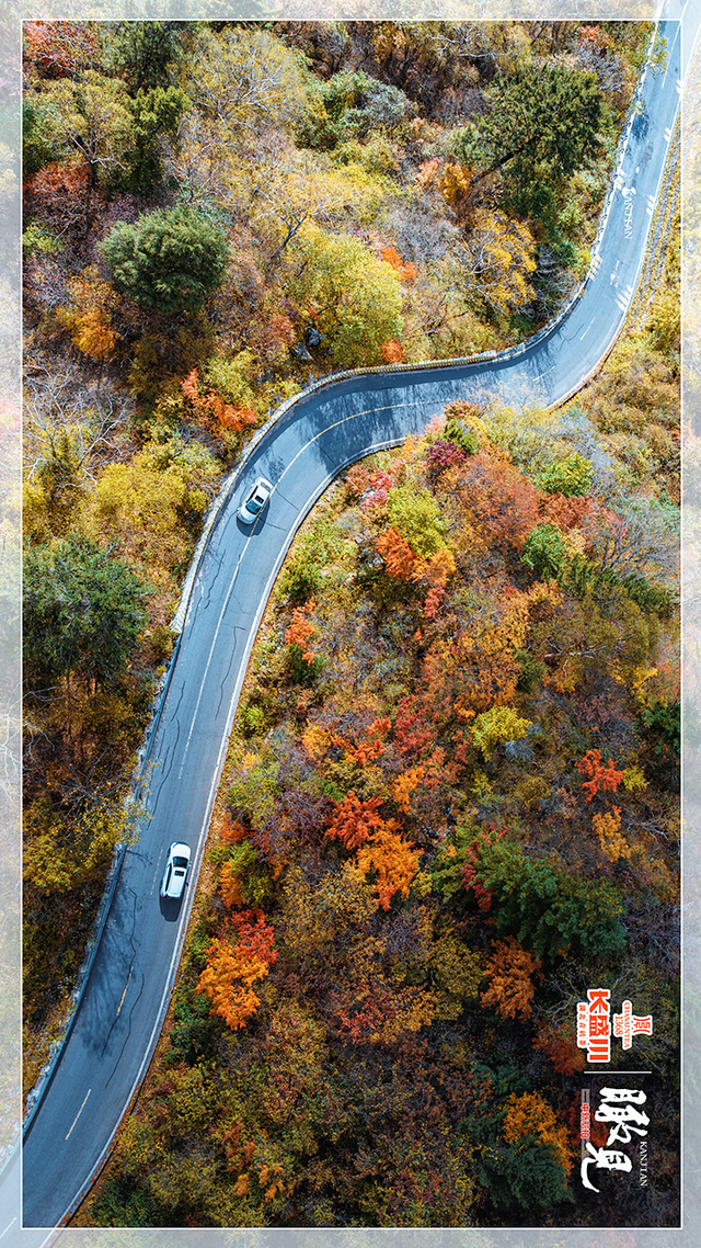 【瞰见】神农架：让心灵与自然共鸣