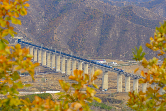 层林尽染时，他们用脚步丈量如画风光