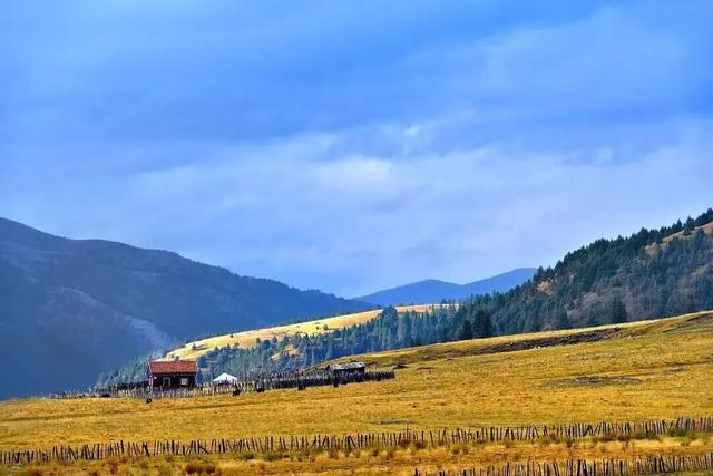 美上央视的秋景，这十条路线请你选！