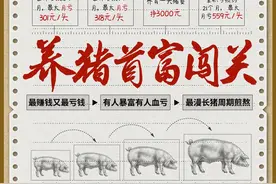 最大月亏559元/头，漫长猪周期，养猪首富“闯关”！行业底部重要信号灯点亮……图片