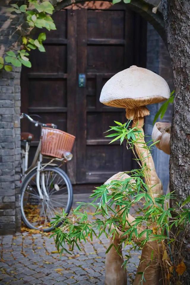 来东城这个胡同小院，邂逅蘑菇精灵的童话秘境——