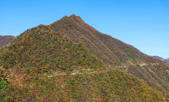 诗画冬日鹤峰：高原大地似锦绣