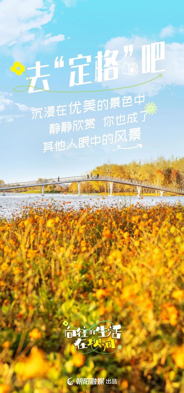 来坝河，过向往的生活吧——