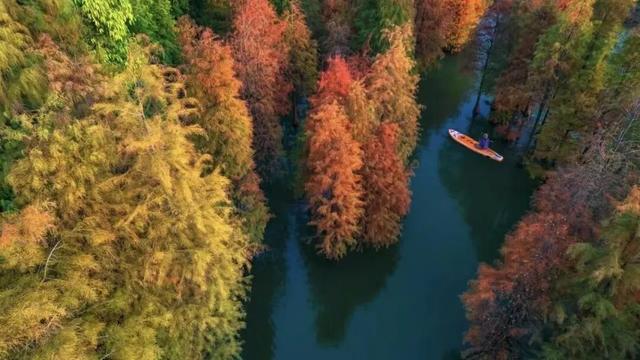 免费！优惠！明天来南宁，过重阳不“重”样！