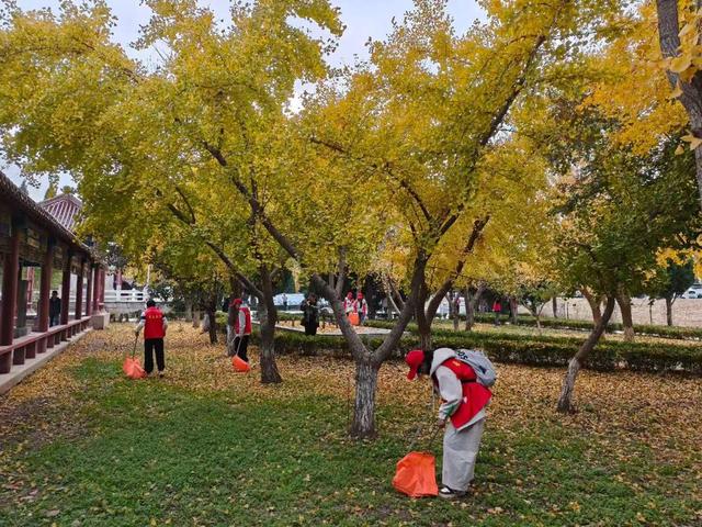 生态露营+植物研学，东明黄河湿地还有哪些打开方式？