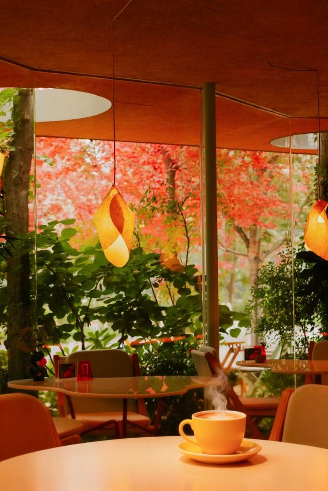 日照色彩派对开启！“美拉德”风景正当时！