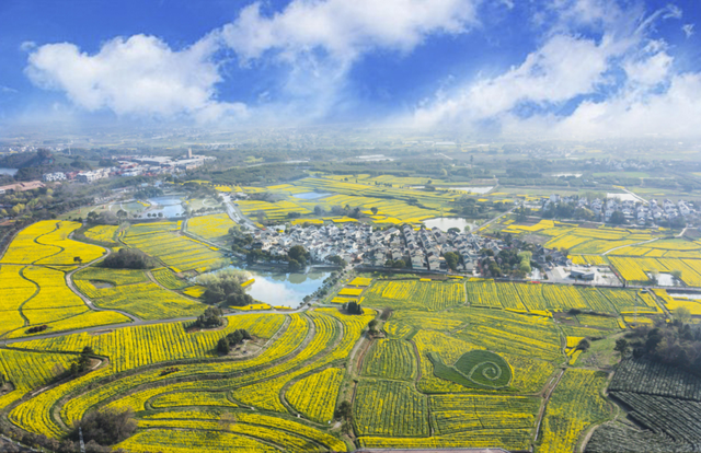 官方推荐16条南京春季亲子研学旅游线路