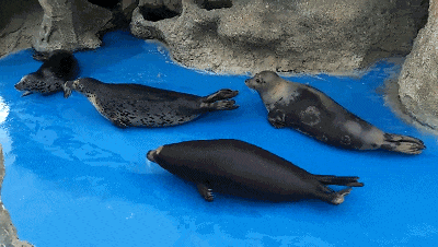 限定文旅推荐官第二弹上线!墙娃儿&砖崽崽~