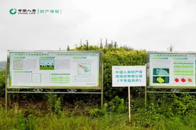 中国人寿：全力发挥保险经济减震器和社会稳定器功能图片