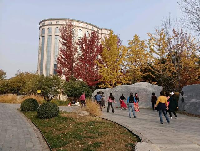 不必扎堆地坛公园！东城区赏秋攻略，一图收藏