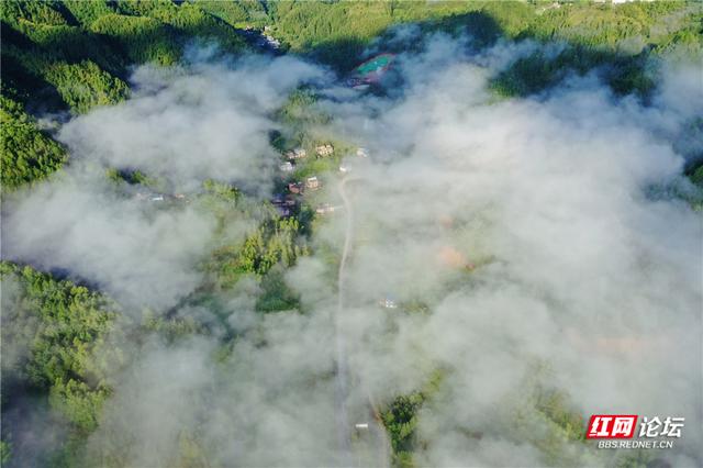 【每日一图@湖南】青娥山晨雾漫卷，定格天地间水墨丹青