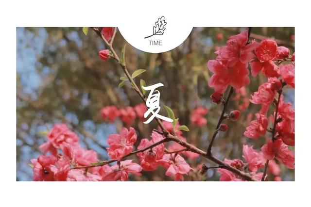 要开学啦！这些三明高校隐藏美景，还不来吗？