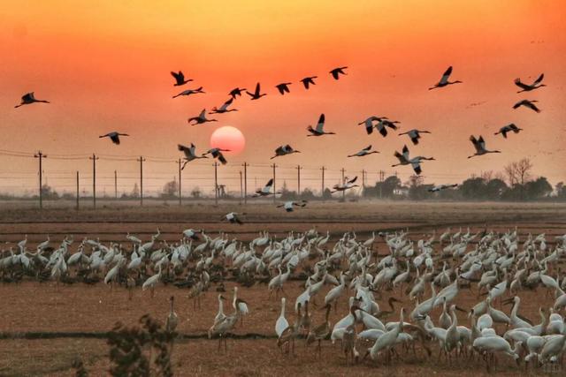 跟着课本游赣鄱！