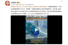 智能仿生鱼已投入长江保护：能模仿鱼类游动，用于生态数据采集图片