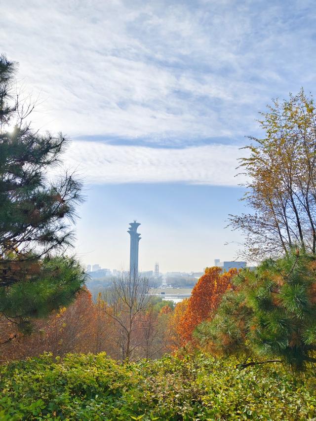 秋深冬浅时，奥森浸染缤纷色彩