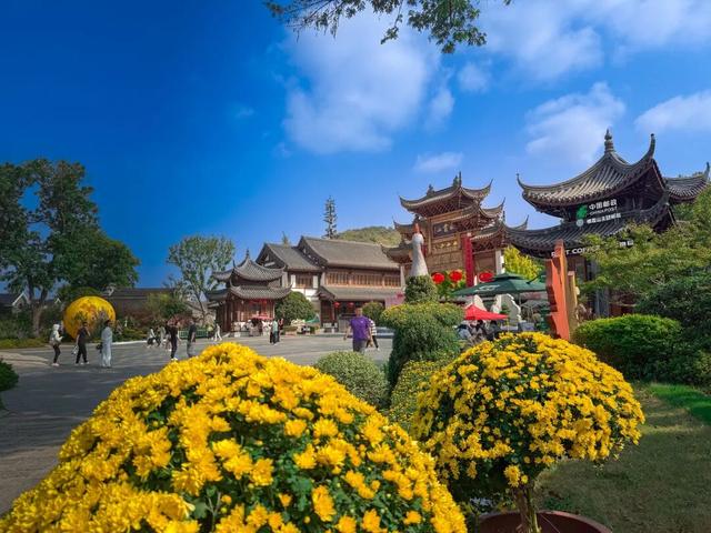 来栖霞山，主打一个快乐又松弛~