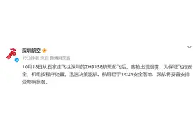 突发！深航一航班起飞后客舱出现烟雾，官方：迅速决策返航，安全落地图片