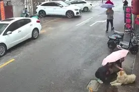 江苏一女子路边逗狗遭撕咬，谁之过？律师：如有证据证明女子存在重大过失，可减轻养狗人责任图片