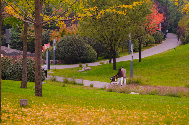 秋风引路入曲江，芙蓉金叶映红墙