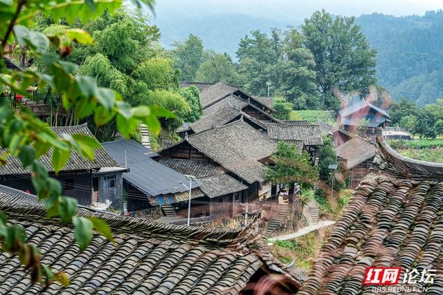 岁暖时刻｜白云深处有人家：藏在湘西山巅的原始苗寨