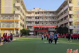 绿茵激情：足球，不止是一项运动图片