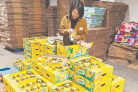 深读 | 当生鲜销售遇上私域流量图片