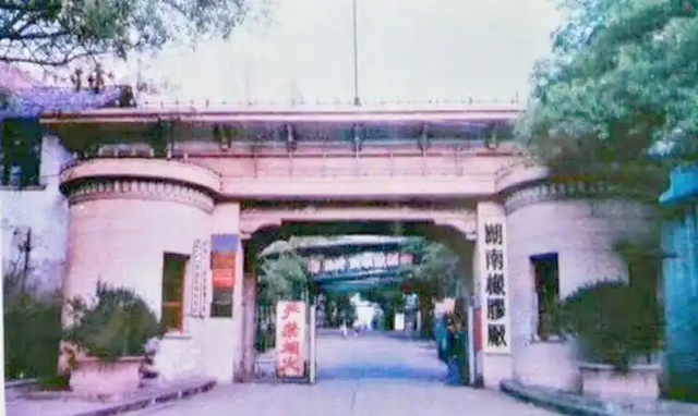 坐拥风华的左家塘