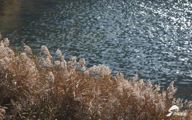 组图丨泰山彩石溪初冬 溪水与暖阳织就轻缓诗意
