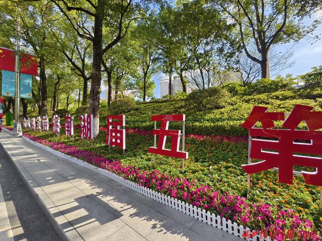 福地怀化 懂你如家｜鲜花满街迎盛会