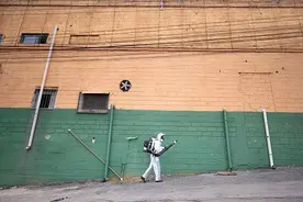 巴西今年登革热疑似及确诊病例达近80万例 451例死亡图片