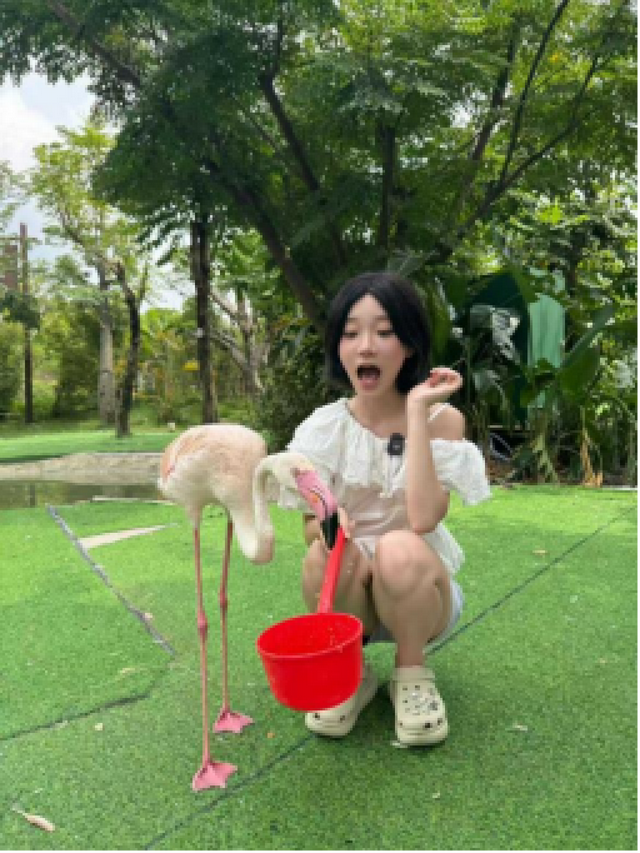 周末不够去非洲，广东人选择在清远看动物世界