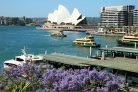 列国鉴·澳大利亚｜记者观察：越来越热！澳大利亚如何应对图片