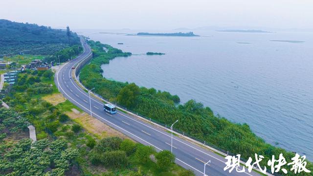 太湖限定坐着巴士追红嘴鸥！即日起苏州3条岛影漫行线重启运行
