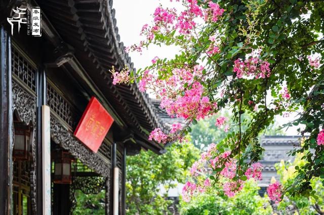 秦淮citywalk｜夏日寻凉之愚园